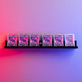 SlabGallery55 (2 Pack)